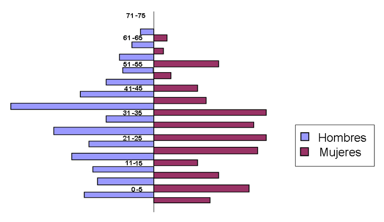 Distribucin de la poblacin por edades.