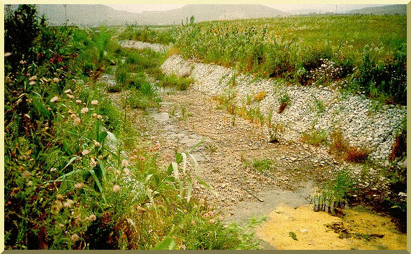 Example of vegetated gabion channel