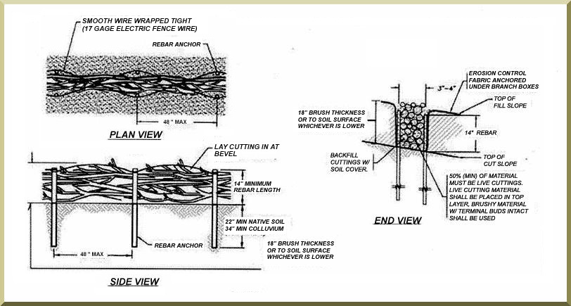 Wattle assembly for natural bank stabilization