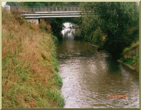 Herbaceous flood plains