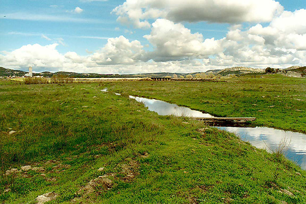 Upstream view of Campo Creek subbasin.