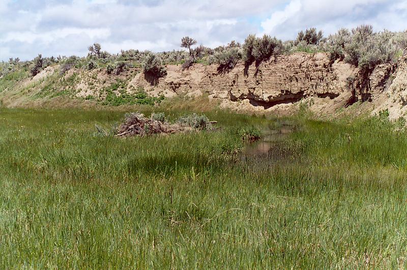 Camp Creek, near Prineville, Oregon