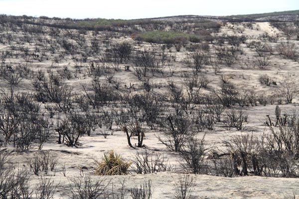 Consecuencias del incendio Shockey, Tierra del Sol, California, el 27 de Septiembre de 2012. 