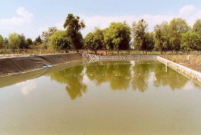 Maturation lagoon