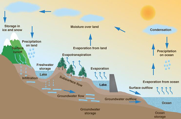 The hydrologic cycle