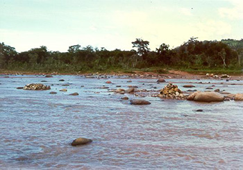 The Pirai river,  Santa Cruz, Bolivia