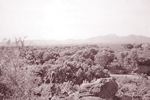 The Santa Cruz river,
south of Tucson, Arizona, c. 1942.