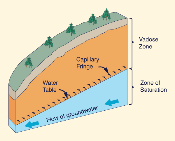 Vadose zone and zone of saturation in subsurface flow