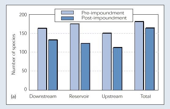 Decline in species numbers, Tucurui dam/reservoir, Brazil.