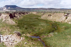 Camp Creek in 2004.