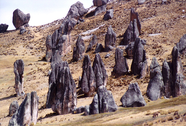 The Nuns, Rock Forest of Huayllay, Pasco, Peru.