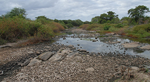 Itapicuru river, Brazil.
