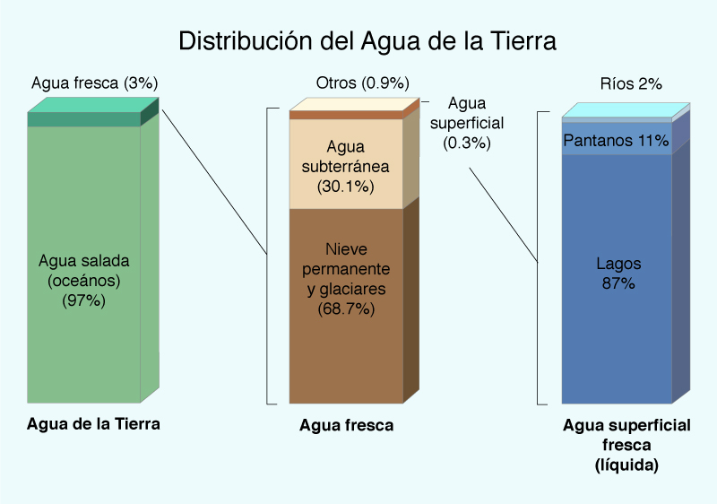 The distribution of Earth's water