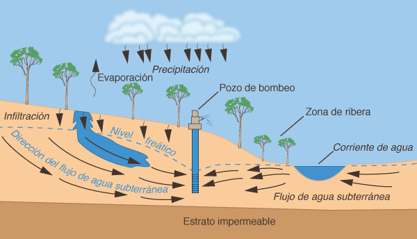 An initially influent (gaining) stream has become partially effluent (losing) towards the pumping well, reducing its baseflow.