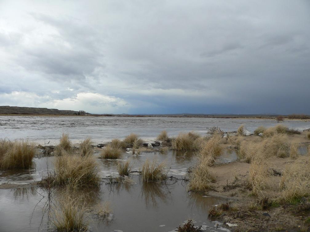 The Mohave river at Indian Trail, near Helendale, California