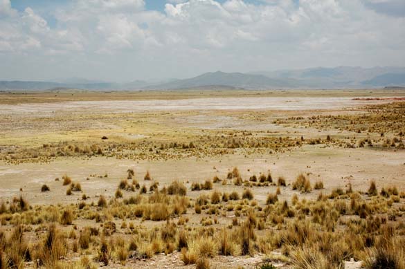 Depresin natural desprovista de vegetacin, vista desde el volcn de lodo Tiracoma 1. 