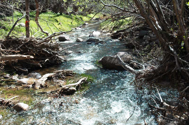 Ash Creek on May 2, 2008, showing baseflow recovered