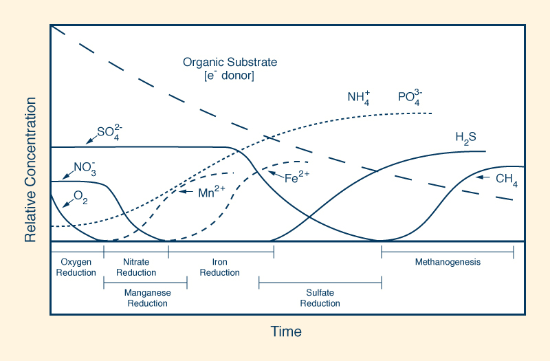 redox reactions