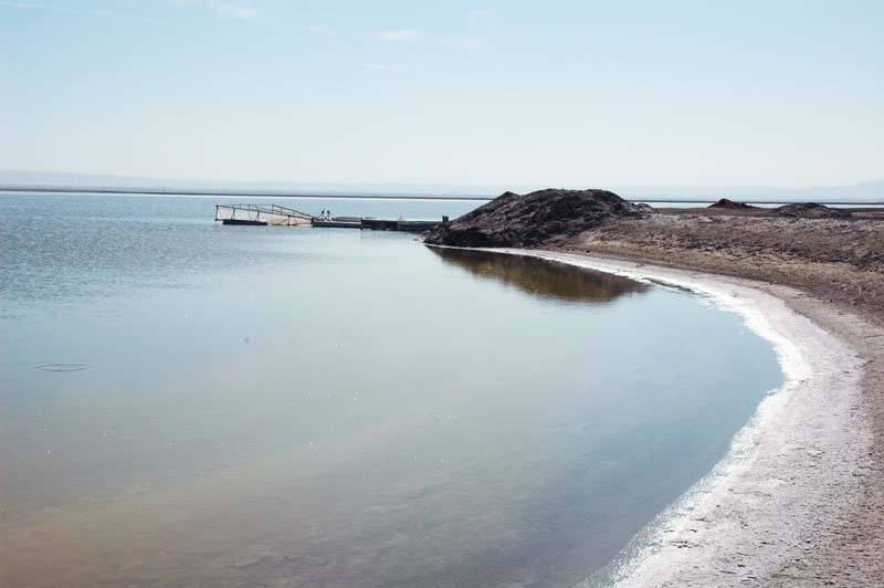 South evaporation pond, Tulare Lake Basin, California.