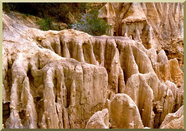 Erosional features of the landscape in Pirai river basin, Santa Cruz department, Eastern Bolivia (Photo by V. M. Ponce, June 1989