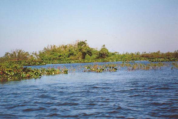 Rio Apa, Mato Grosso do Sul, Brazil (1992). 