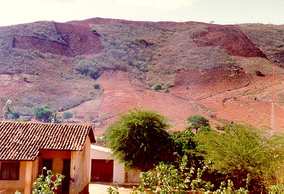 Clearing of natural vegetation near Triunfo, in the serto (backlands) of Pernambuco, Brazil. 