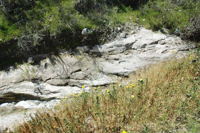 Downcutting to bedrock as a result of 'hungry water' downstream of a sediment retention basin,Aguaje de La Tuna