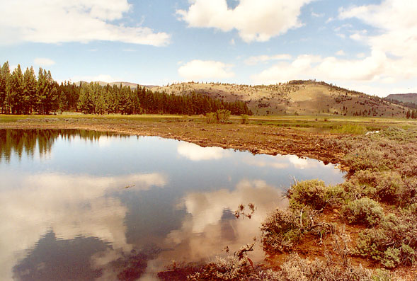 Pond-and-plug stream restoration at Ferris Creek, in Plumas County, California