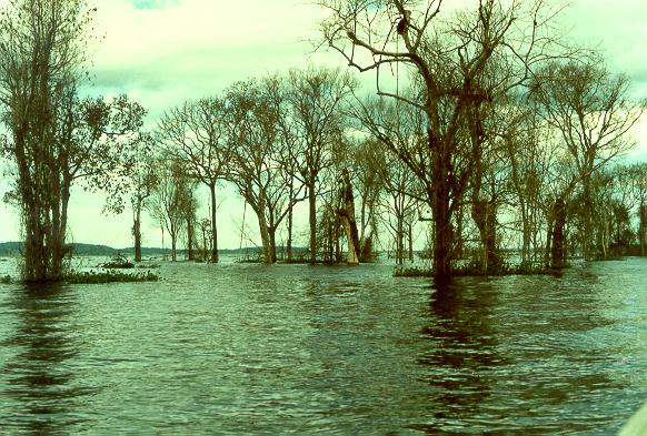 First filling of Balbina reservoir, in the Amazon rainforest, Brazil (1988)