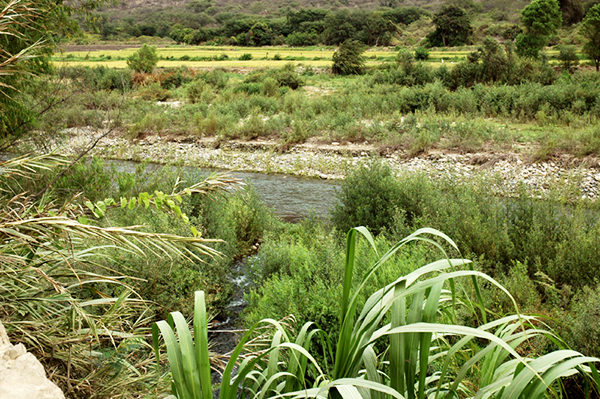 Rio La Leche, Lambayeque, Peru (2008) 