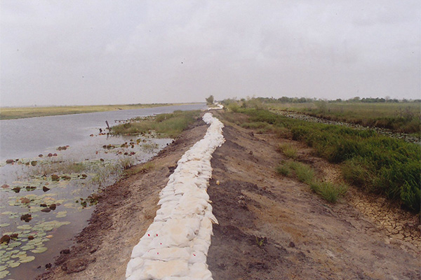 Sandbagging at main dam of East Demerara Water Conservancy, Guyana (2005).
