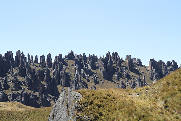 Rock forest of Huayllay, Pasco, Peru (2015)