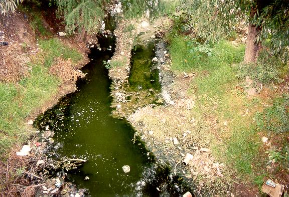 Sewage contamination of a small stream. 