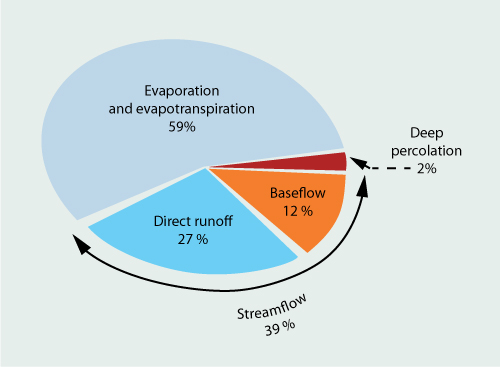 Global components of the water balance