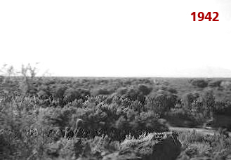 Two snapshots of the same reach of the Santa Cruz river at Martinez Hill, 
south of Tucson, Arizona