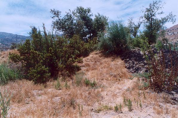  La ribera del ro en la vecindad de RP-4.