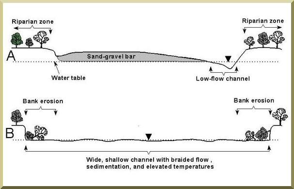 diagram of channel cross section