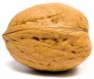 walnut #43